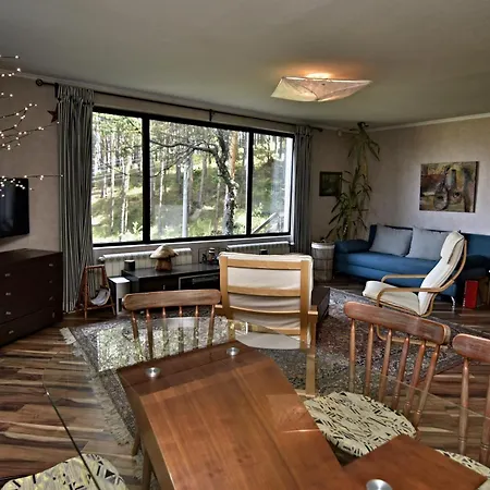 Art Gal Villa Velingrad