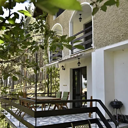 Art Gal * Βέλινγκραντ