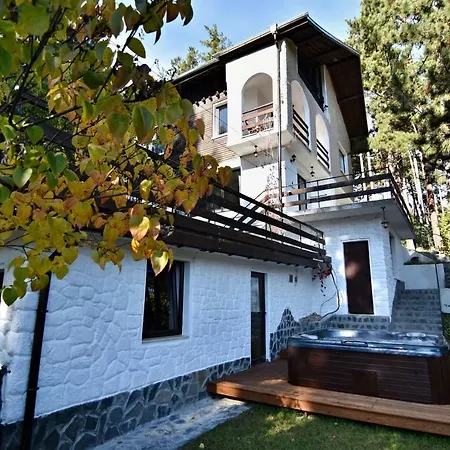 Art Gal Velingrad