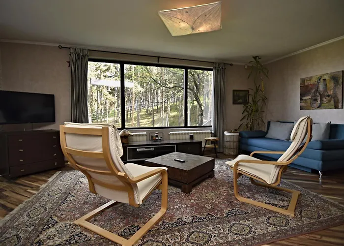 Art Gal ヴェリングラード