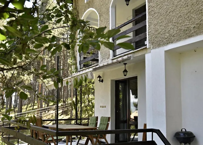 Art Gal * ヴェリングラード